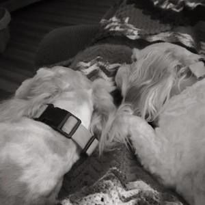 Meet your Posher, Marcia